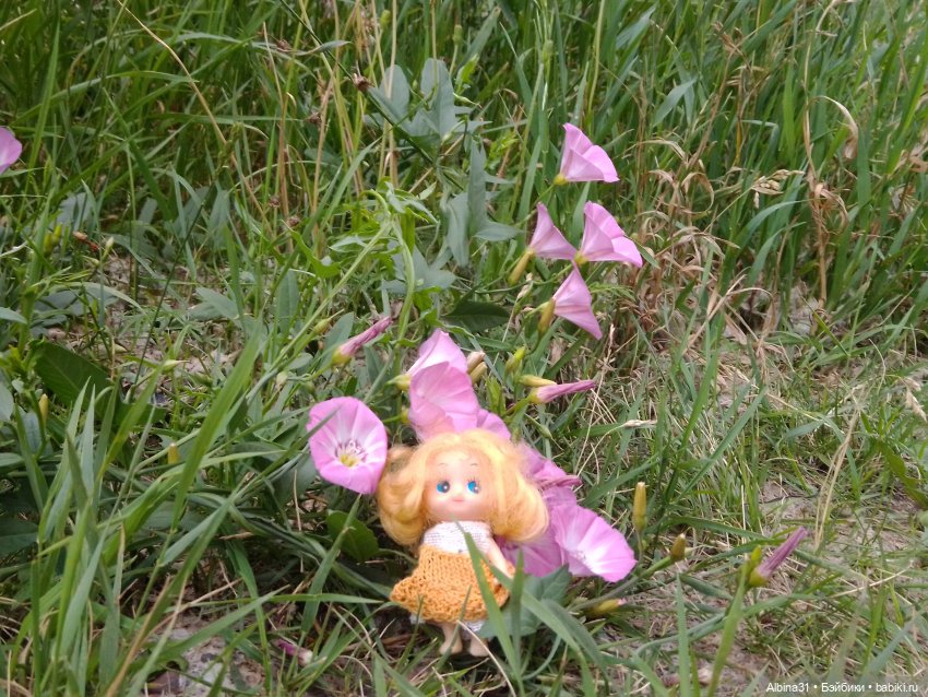 Цветы и ягодки... Лето 2024 год