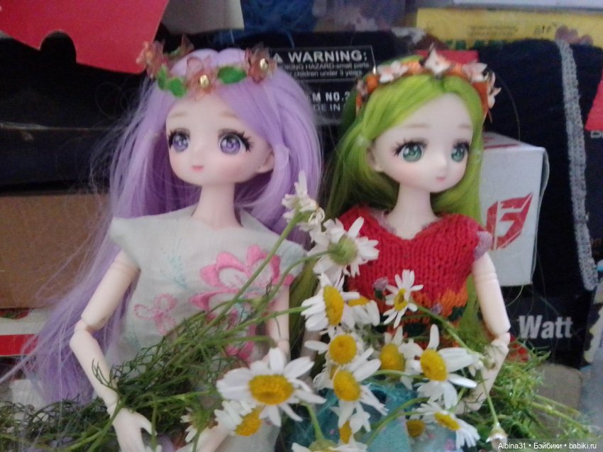 Цветы и ягодки... Лето 2024 год (фото 4)