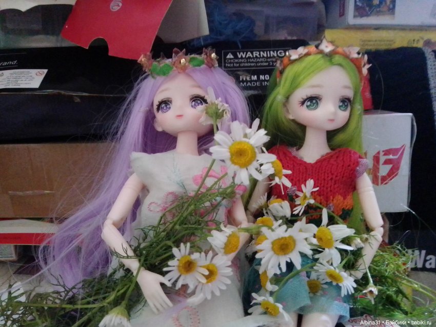 Цветы и ягодки... Лето 2024 год (фото 2)