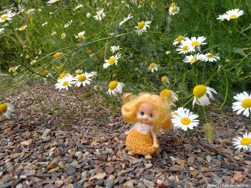 Цветы и ягодки... Лето 2024 год