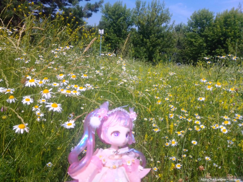 Городские зарисовки, парк Каменка 2024