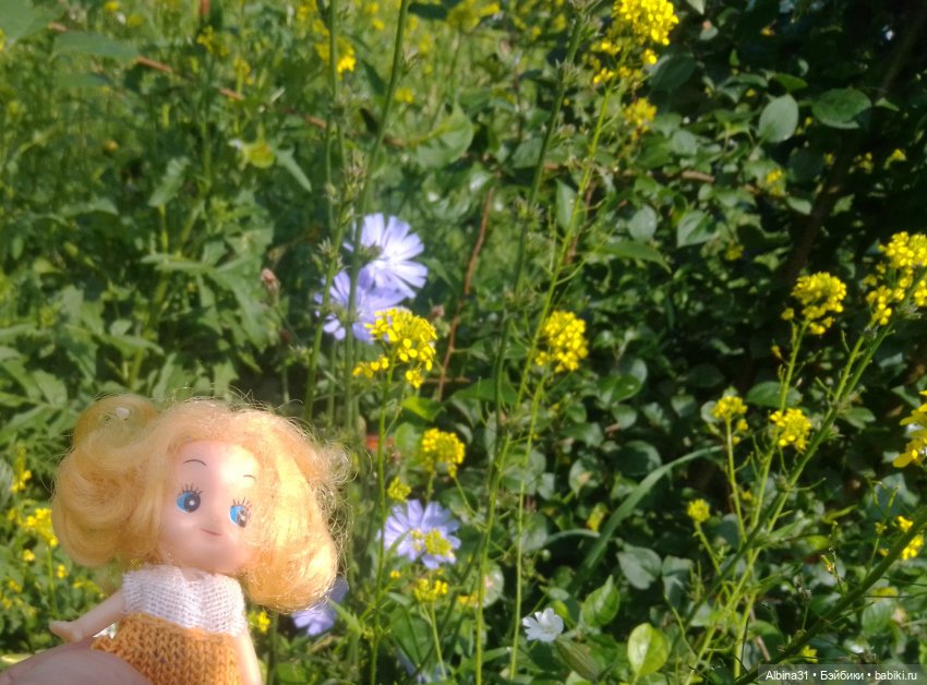 Городские зарисовки, парк Каменка 2024 (фото 6)