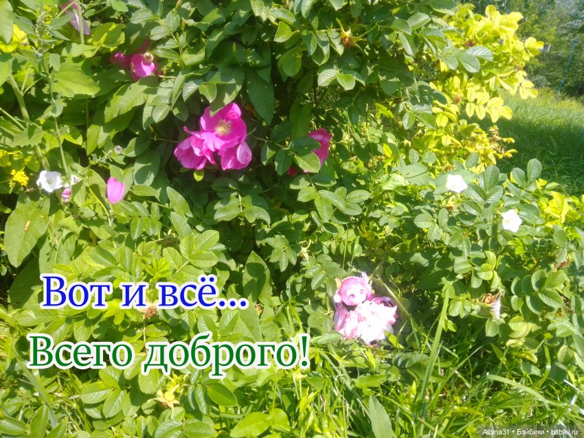 Городские зарисовки, парк Каменка 2024