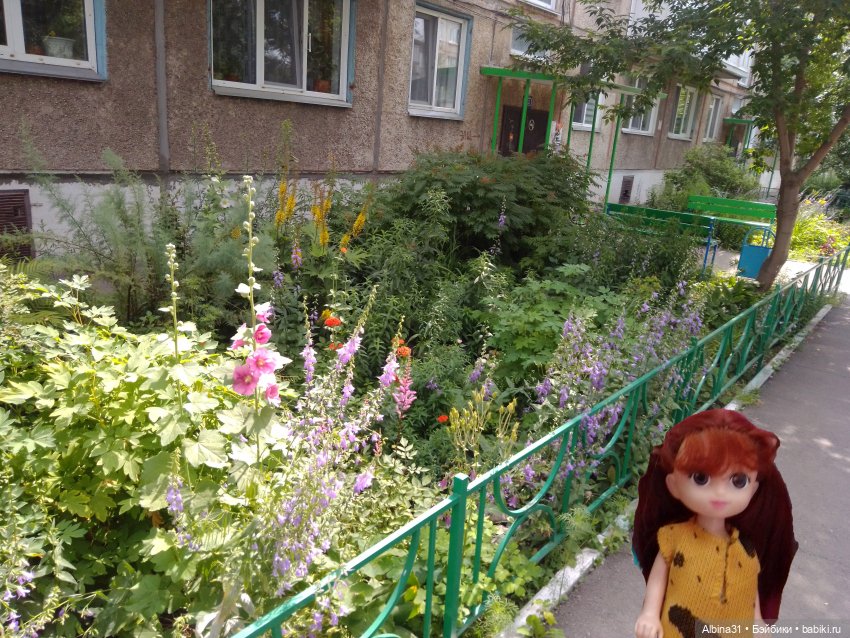 Как красивы цветы, мимо просто не пройти.... Лето 2024 (фото 9)