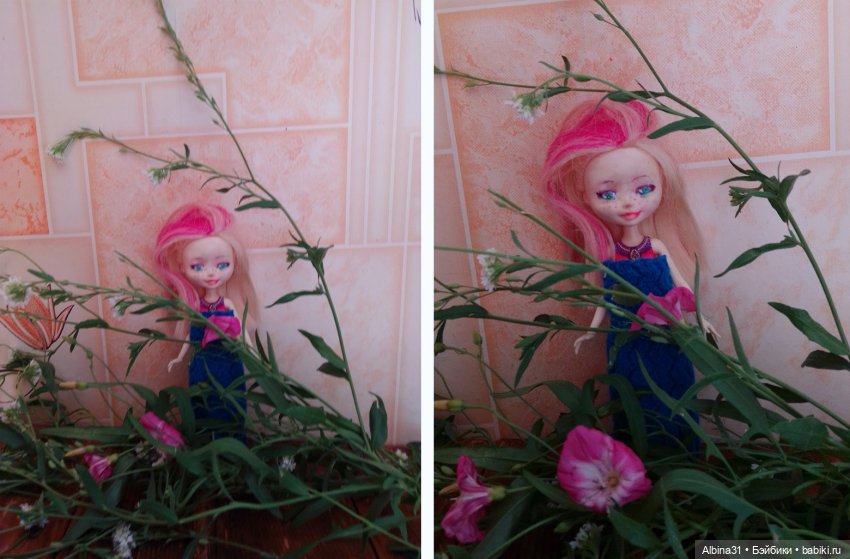 Цветы и ягодки... Лето 2024 год