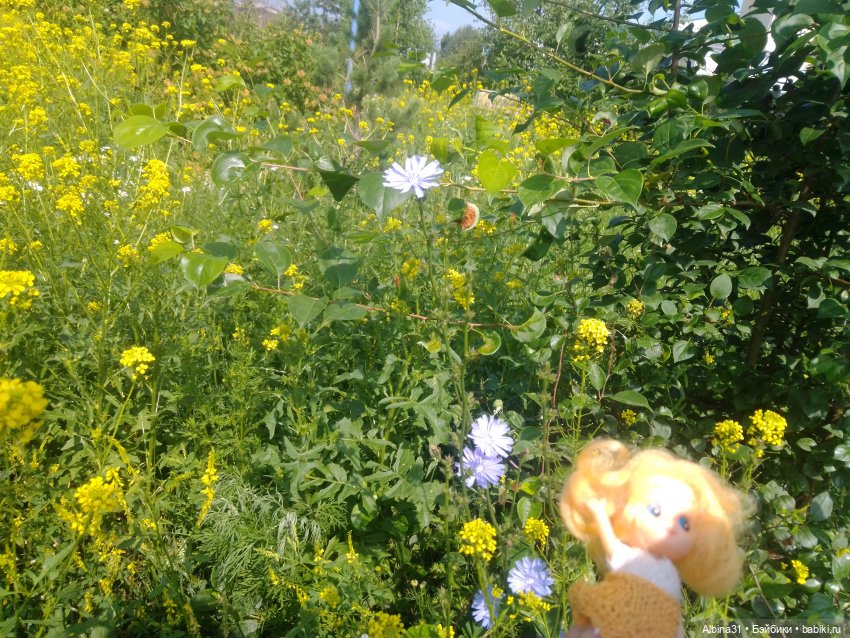 Городские зарисовки, парк Каменка 2024 (фото 5)