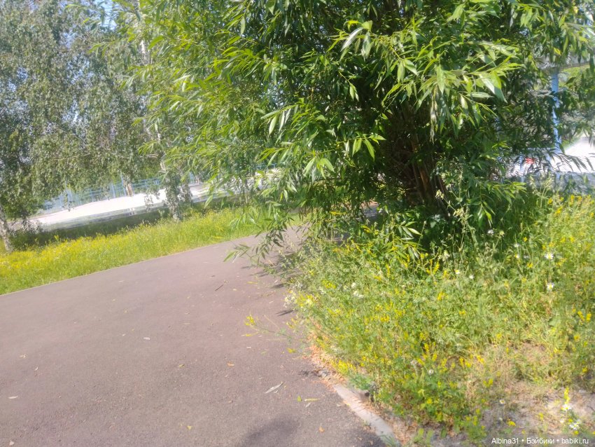 Городские зарисовки, парк Каменка 2024 (фото 9)