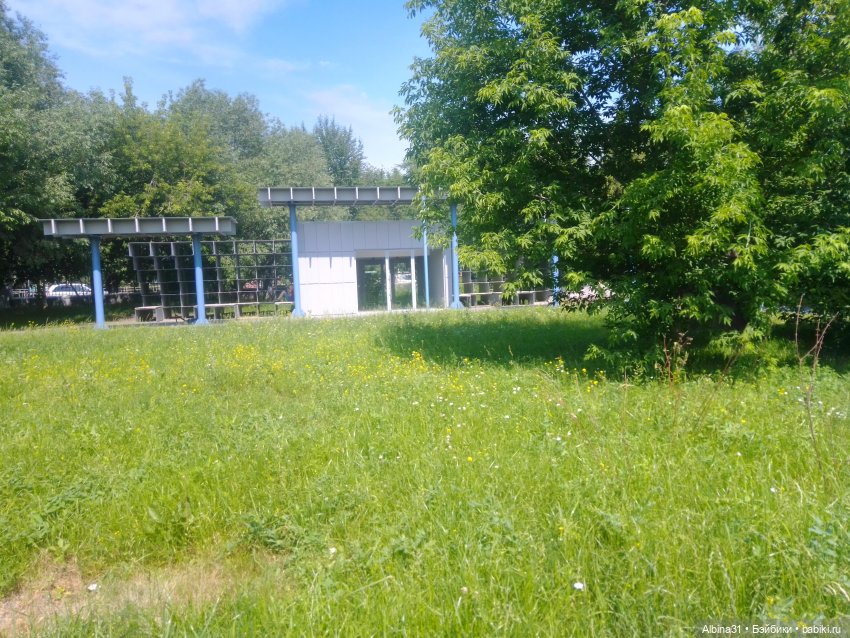 Городские зарисовки, парк Каменка 2024