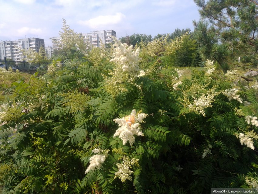 Городские зарисовки, парк Каменка 2024