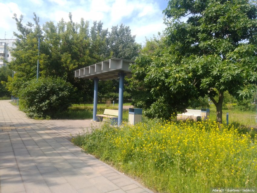 Городские зарисовки, парк Каменка 2024 (фото 7)