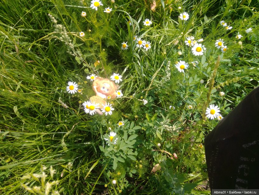 Городские зарисовки, парк Каменка 2024 (фото 3)