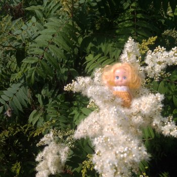 Городские зарисовки, парк Каменка 2024