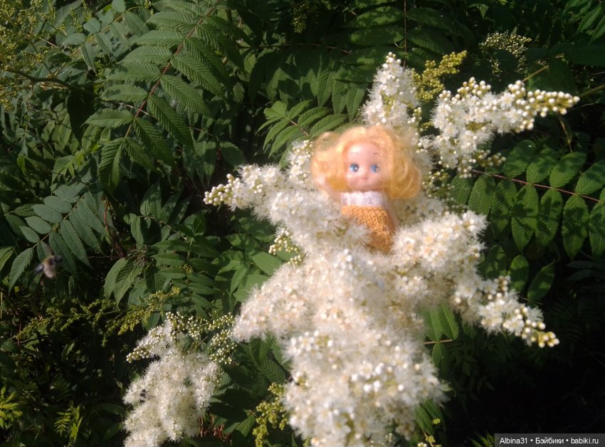 Городские зарисовки, парк Каменка 2024 (фото 2)