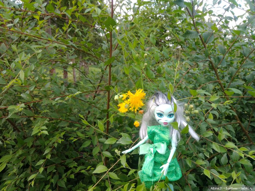 Как красивы цветы, мимо просто не пройти.... Лето 2024 (фото 8)