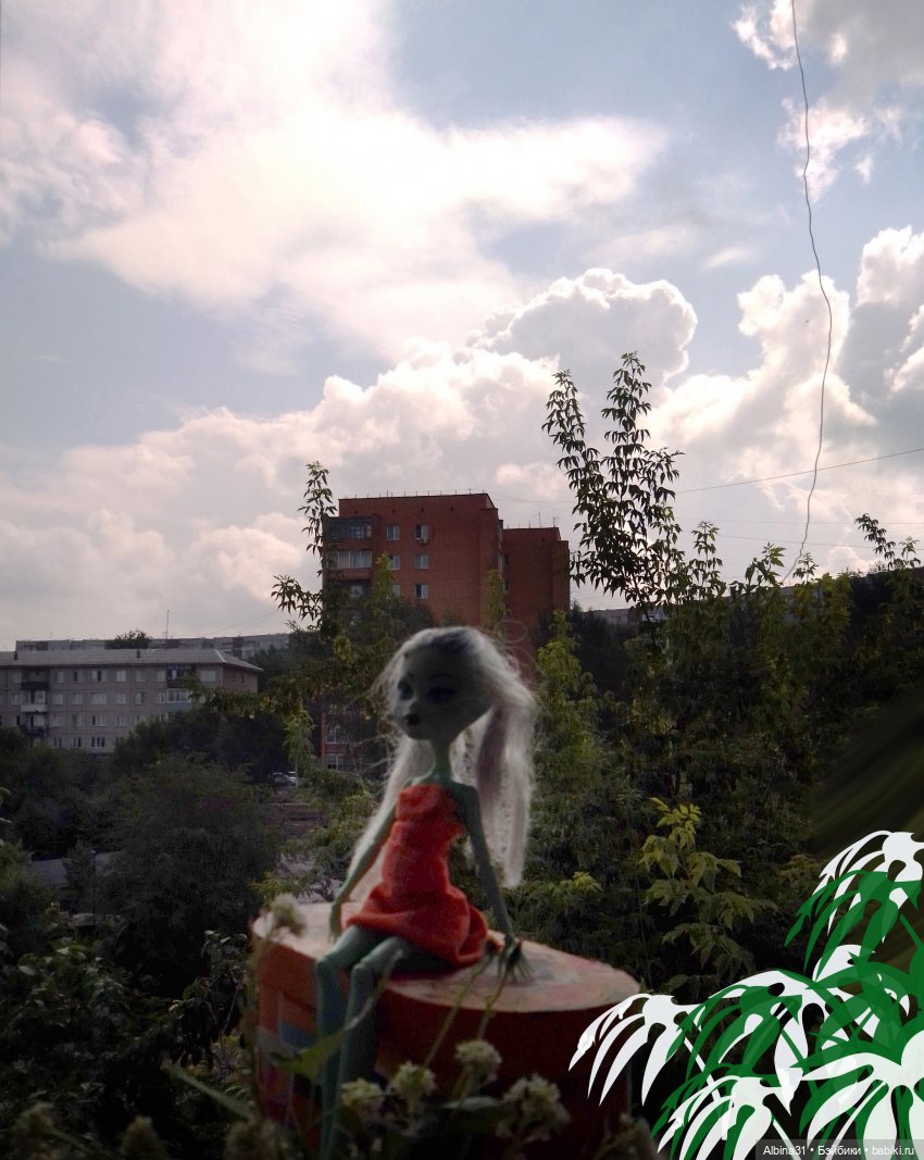 Как красивы цветы, мимо просто не пройти.... Лето 2024