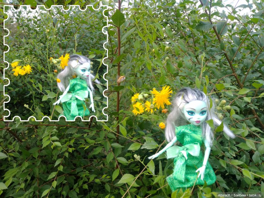 Как красивы цветы, мимо просто не пройти.... Лето 2024 (фото 7)