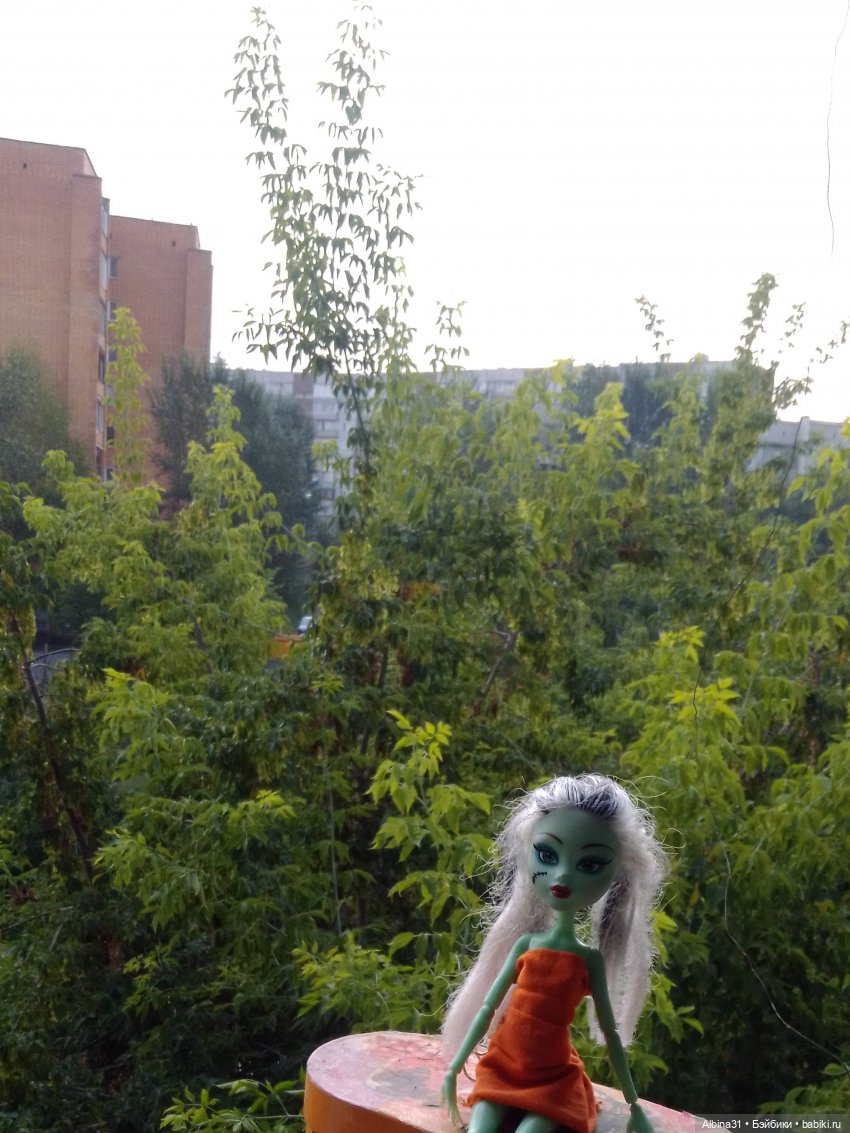 Как красивы цветы, мимо просто не пройти.... Лето 2024 (фото 3)