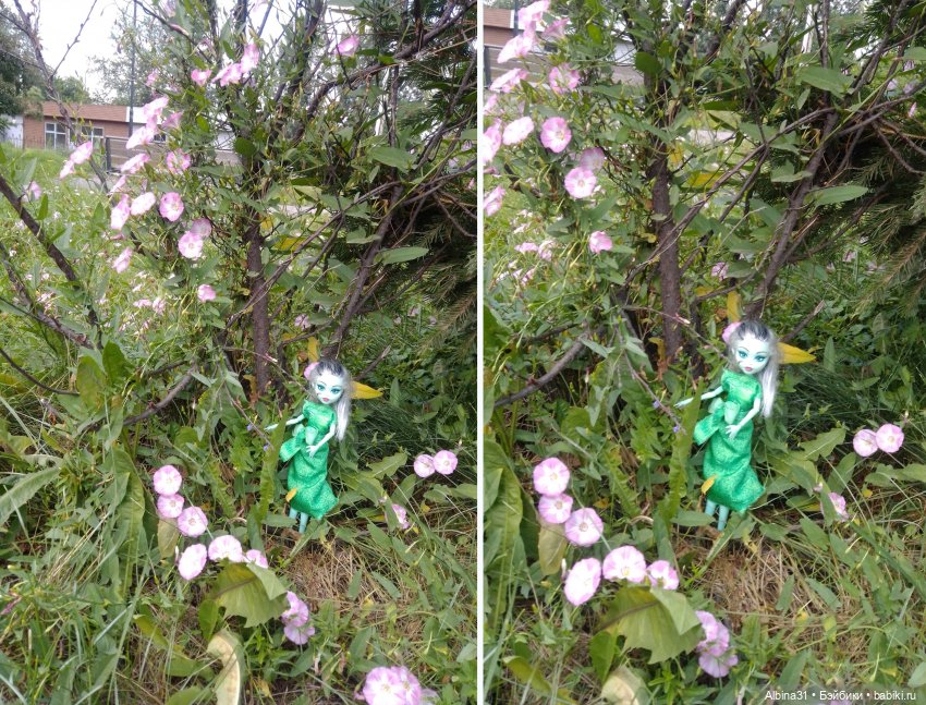 Как красивы цветы, мимо просто не пройти.... Лето 2024 (фото 6)