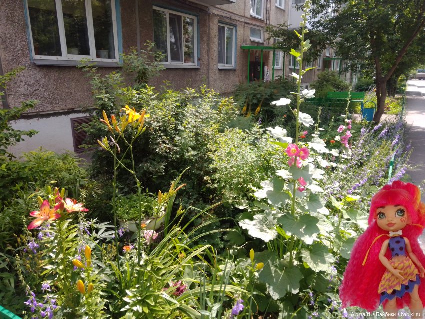 Как красивы цветы, мимо просто не пройти.... Лето 2024 (фото 10)