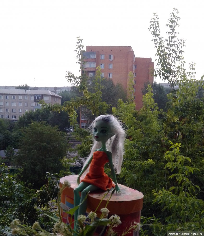 Как красивы цветы, мимо просто не пройти.... Лето 2024 (фото 2)