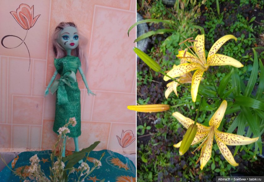 Как красивы цветы, мимо просто не пройти.... Лето 2024 (фото 4)