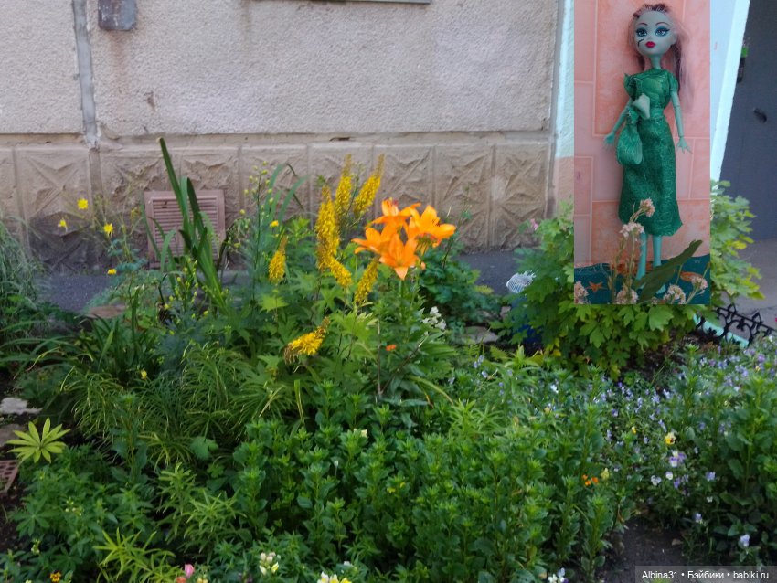 Как красивы цветы, мимо просто не пройти.... Лето 2024 (фото 5)