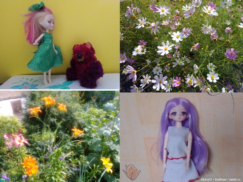 Как красивы цветы, мимо просто не пройти.... Лето 2024