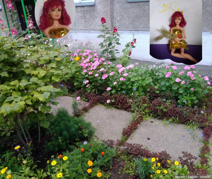 Как красивы цветы, мимо просто не пройти.... Лето 2024