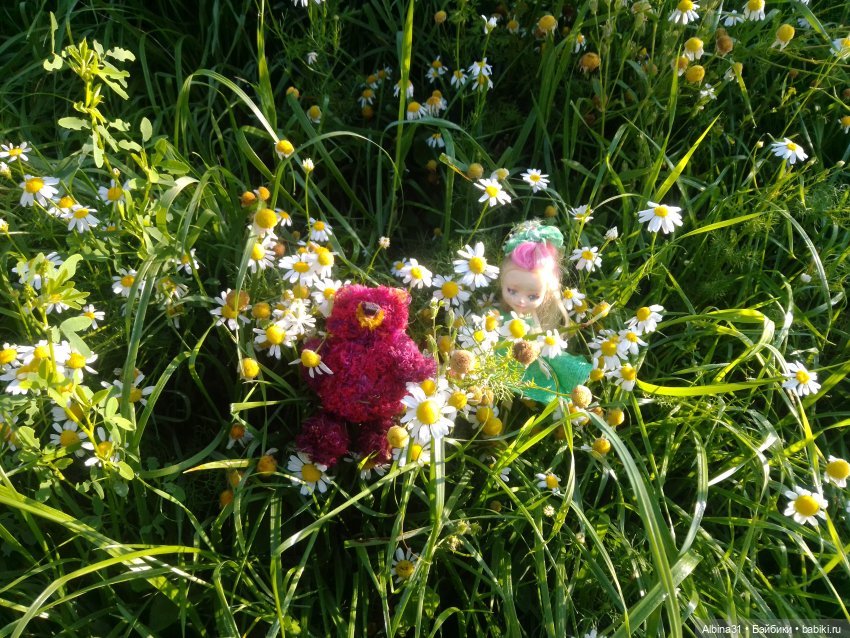 Как красивы цветы, мимо просто не пройти.... Лето 2024