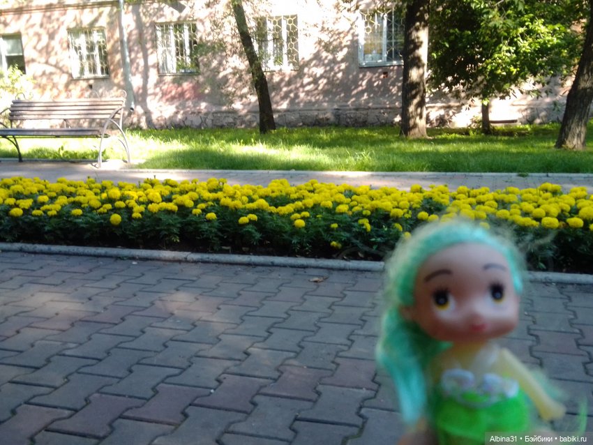 Как красивы цветы, мимо просто не пройти.... Лето 2024