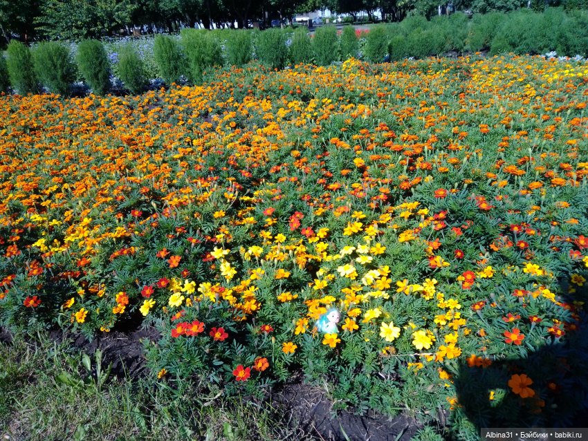 Городские зарисовки. Август 2024