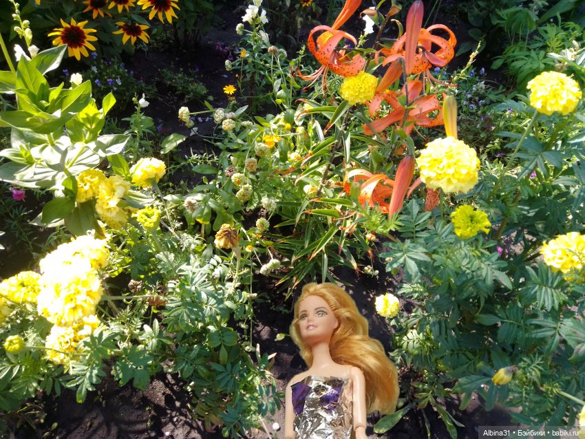 Как красивы цветы, мимо просто не пройти.... Лето 2024