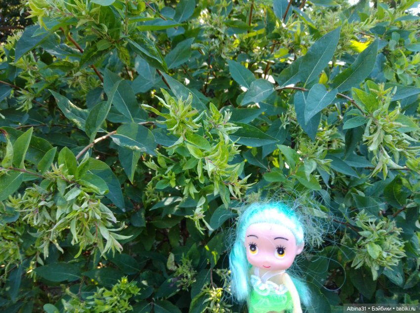 Городские зарисовки. Август 2024