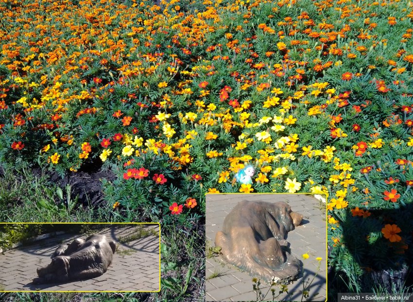 Городские зарисовки. Август 2024 (фото 3)