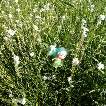 Городские зарисовки. Август 2024