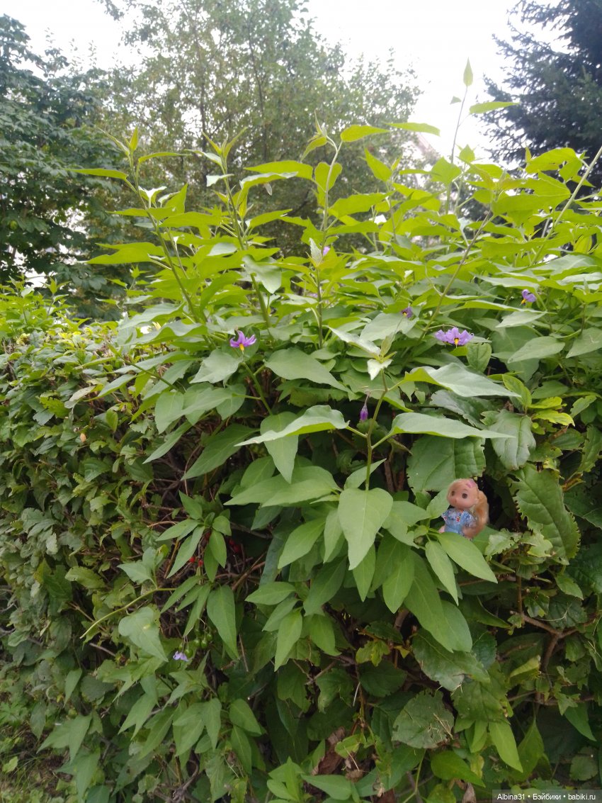 Городские зарисовки 2024 август