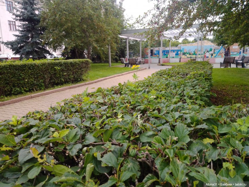 Городские зарисовки 2024 август