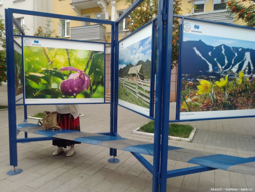 Городские зарисовки 2024 август