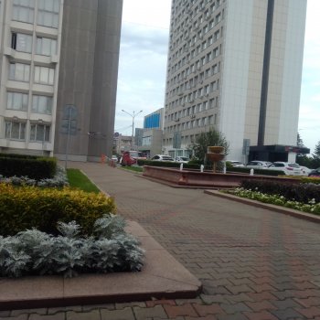 Городские зарисовки  2024 август