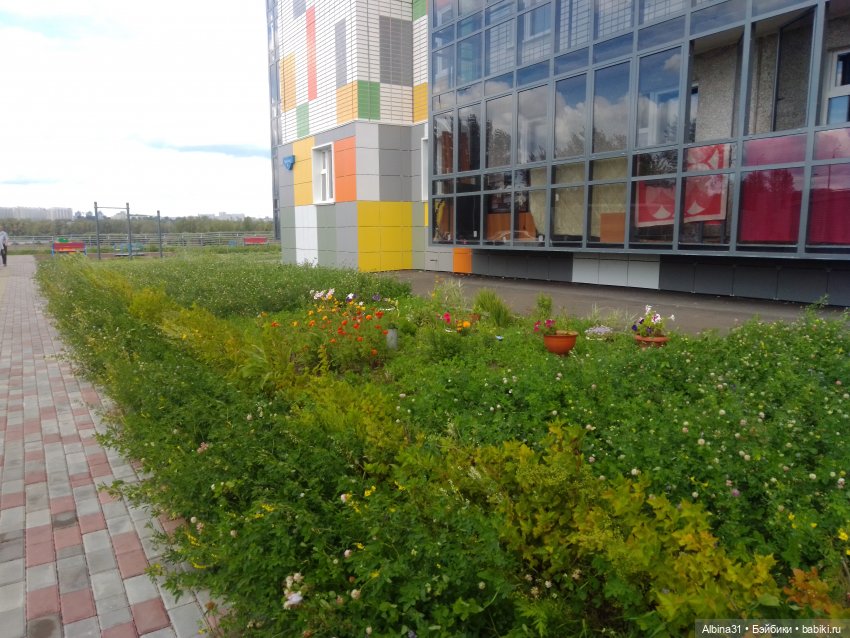 Городские зарисовки или Прогулка по городу