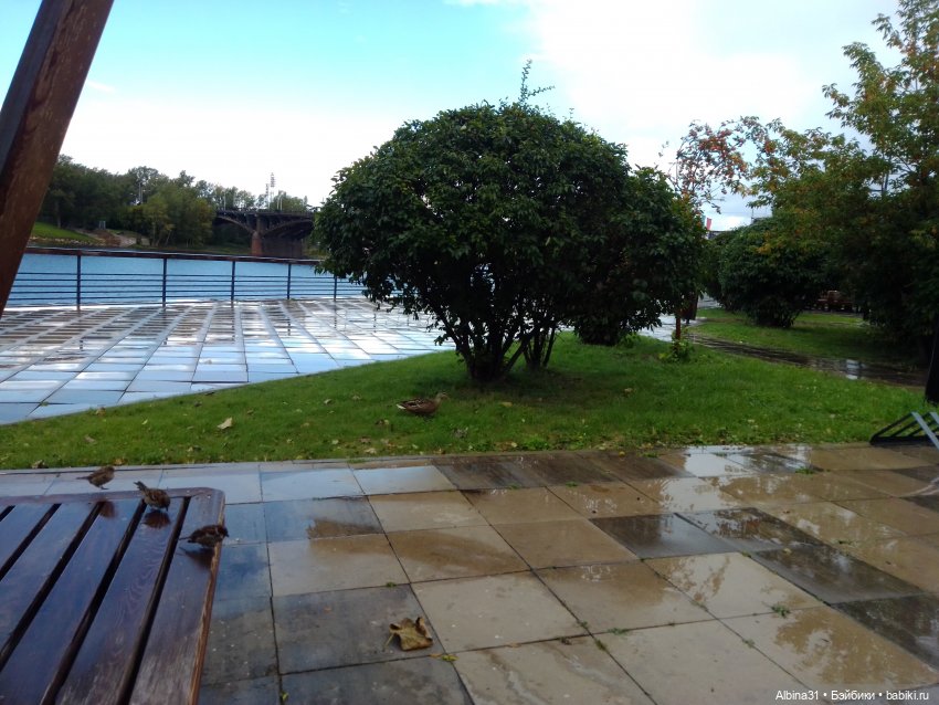 Городские зарисовки... Август, сентябрь 2024