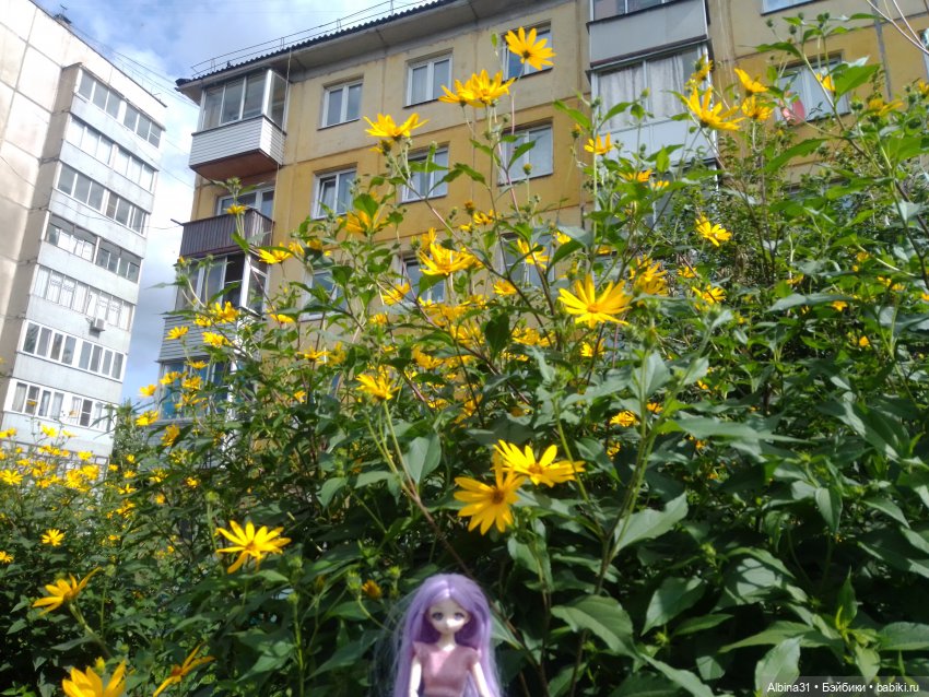 Городские зарисовки или Прогулка по городу (фото 3)