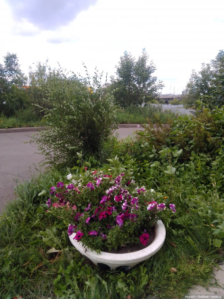 Городские зарисовки или Прогулка по городу