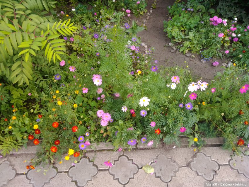 Городские зарисовки или Прогулка по городу