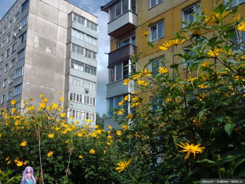 Городские зарисовки или Прогулка по городу (фото 4)