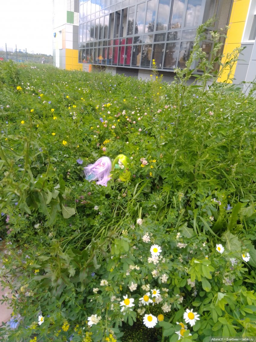 Городские зарисовки или Прогулка по городу