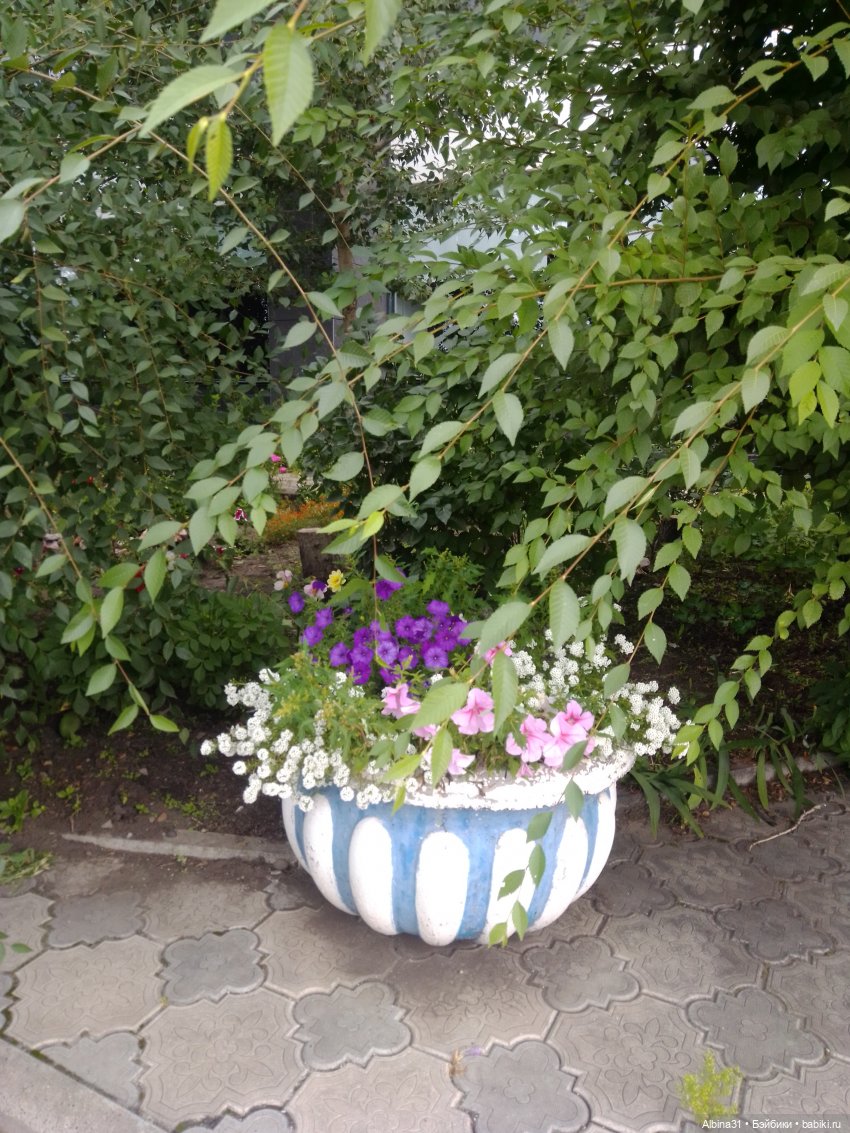 Городские зарисовки или Прогулка по городу