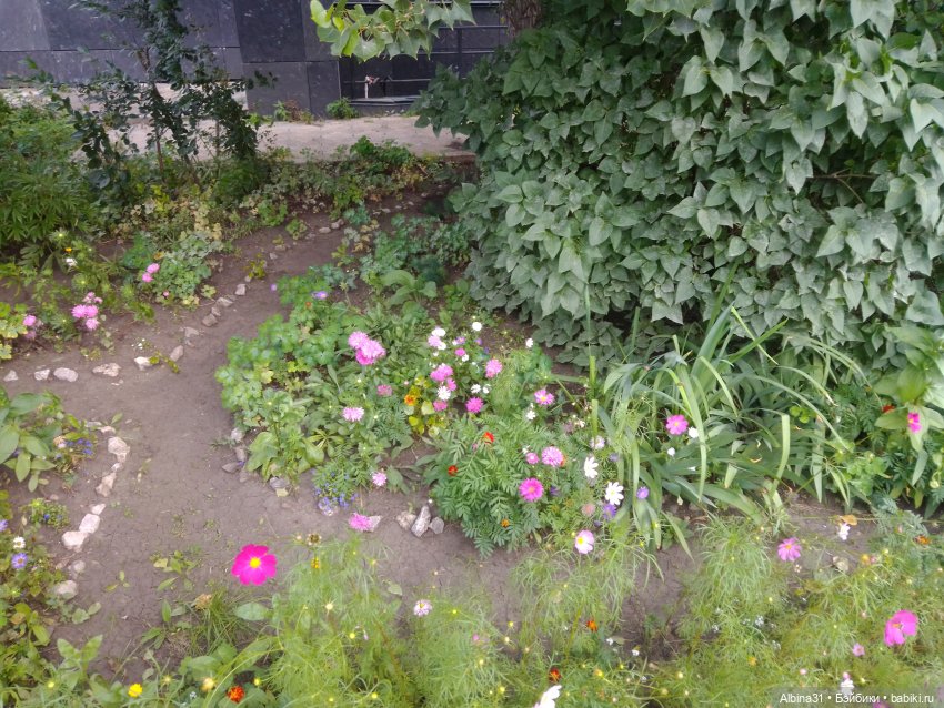 Городские зарисовки или Прогулка по городу