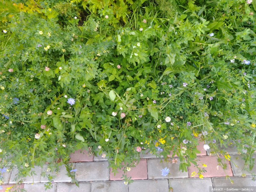 Городские зарисовки или Прогулка по городу