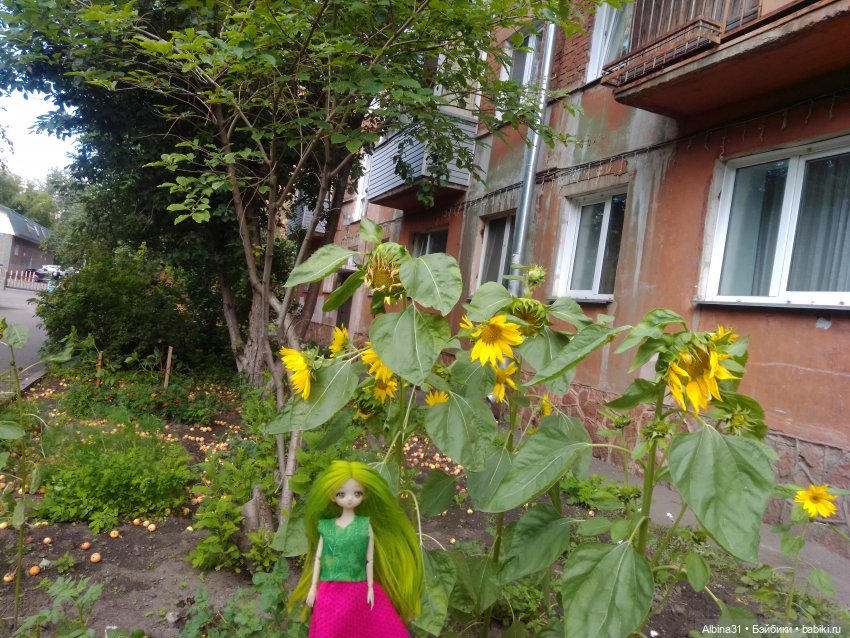 Городские зарисовки или Прогулка по городу (фото 8)